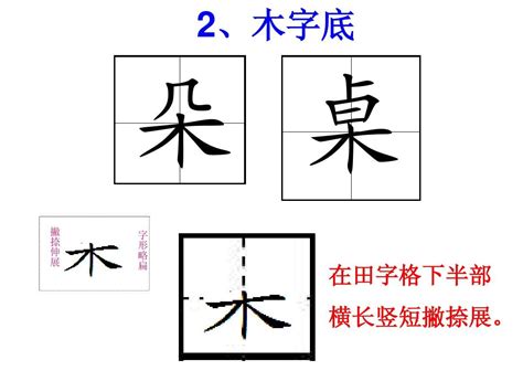 木有什麼字|木字旁的字